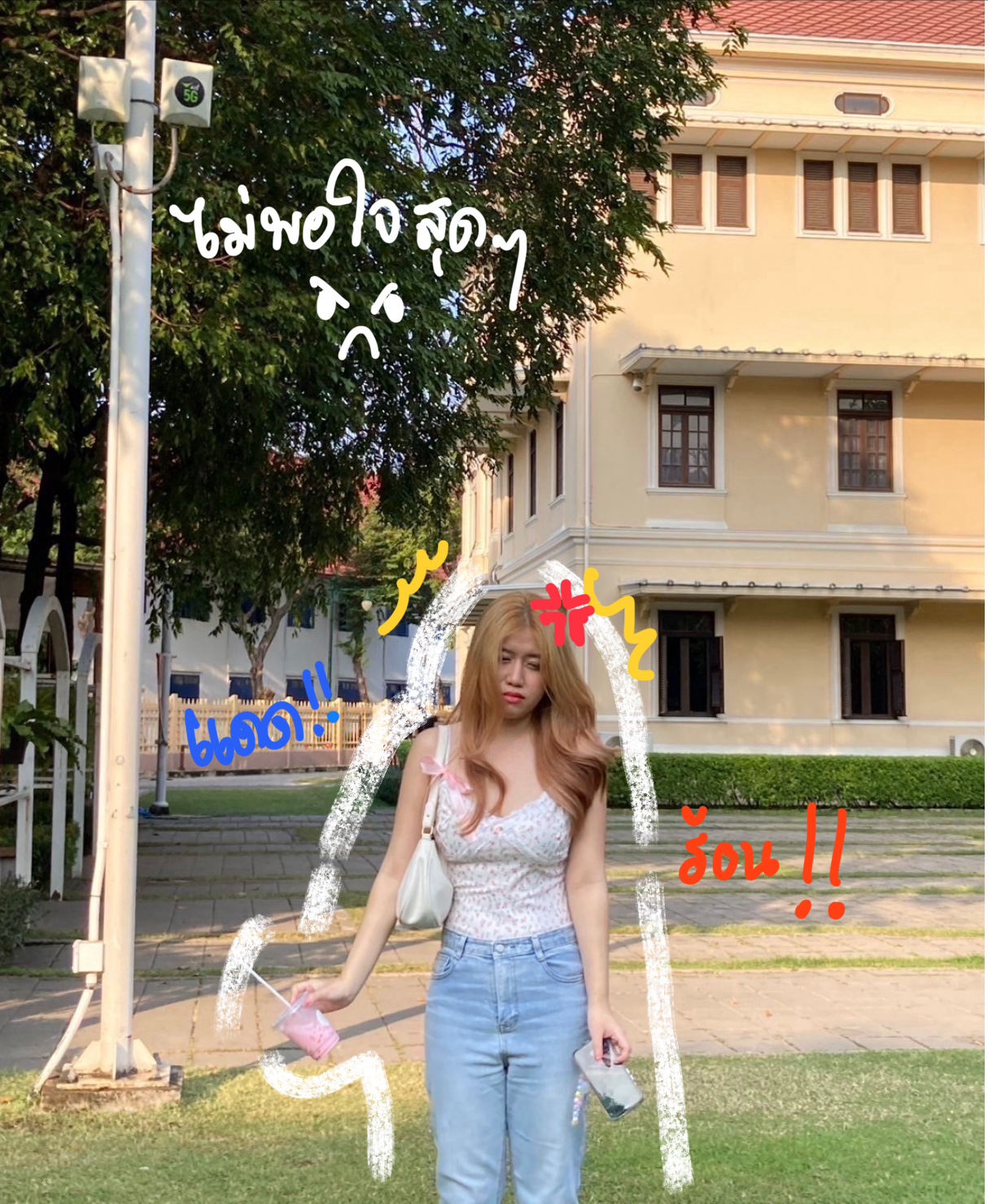 ภาพที่ 12