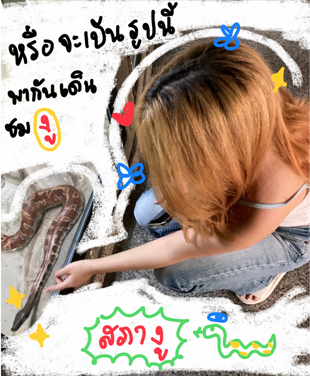 ภาพที่ 10